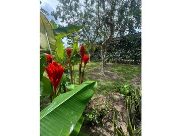 VENTA FINCA FAMILIAR Y DE TURISMO EN PUEBLO TAPAO QUINDIO