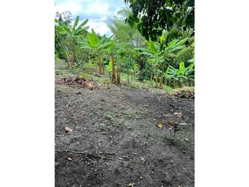 VENTA FINCA FAMILIAR Y DE TURISMO EN PUEBLO TAPAO QUINDIO