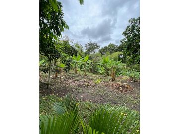 VENTA FINCA FAMILIAR Y DE TURISMO EN PUEBLO TAPAO QUINDIO