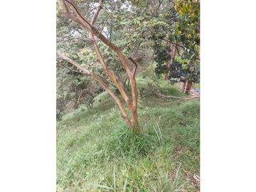 LOTE CON CASA EN SECTOR LA MONTAÑITA EN SAN CRISTOBAL