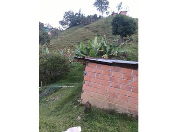 LOTE CON CASA EN SECTOR LA MONTAÑITA EN SAN CRISTOBAL