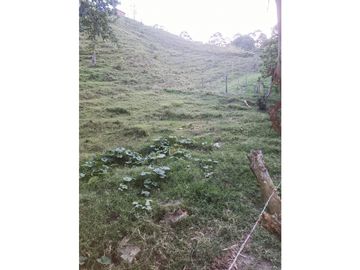 LOTE CON CASA EN SECTOR LA MONTAÑITA EN SAN CRISTOBAL