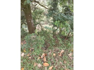 LOTE CON CASA EN SECTOR LA MONTAÑITA EN SAN CRISTOBAL