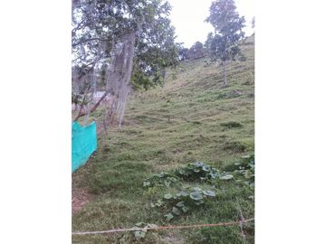 LOTE CON CASA EN SECTOR LA MONTAÑITA EN SAN CRISTOBAL