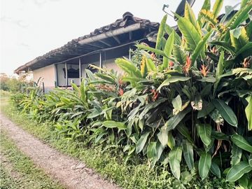 Se Vende Casa Campestre Finca Circasia Quindío