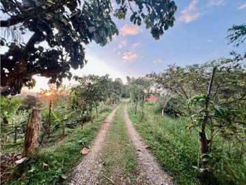 Se Vende Casa Campestre Finca Circasia Quindío