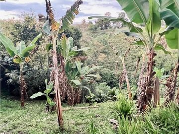 Se Vende Casa Campestre Finca Circasia Quindío
