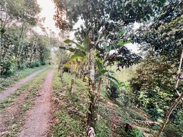 Se Vende Casa Campestre Finca Circasia Quindío