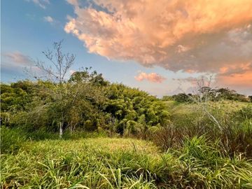 Se Vende Casa Campestre Finca Circasia Quindío