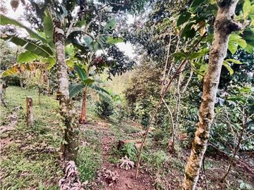 Se Vende Casa Campestre Finca Circasia Quindío