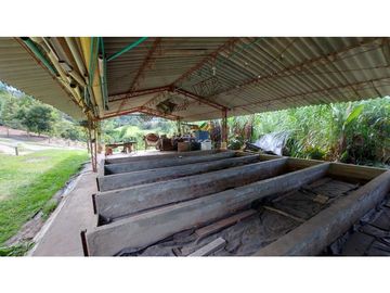 Vendo finca Caballista en Rionegro, Antioquia