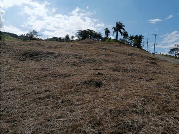 (MC) Lote en Condominio en Venta en Cascadas de Dapa