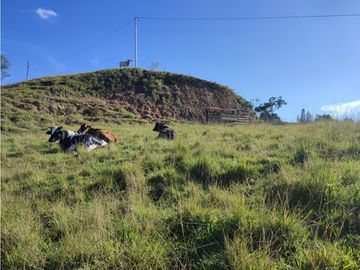 Finca en venta el Peñol Antioquia Parcelar 36,000 m2 el Marial.