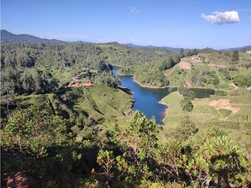 Finca en venta el Peñol Antioquia Parcelar 36,000 m2 el Marial.