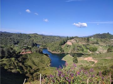 Finca en venta el Peñol Antioquia Parcelar 36,000 m2 el Marial.