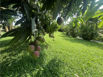 VENTA CASA CAMPESTRE - VDA PADILLA - LA TEBAIDA QUINDIO