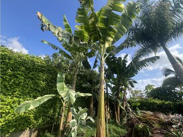 VENTA CASA CAMPESTRE - VDA PADILLA - LA TEBAIDA QUINDIO
