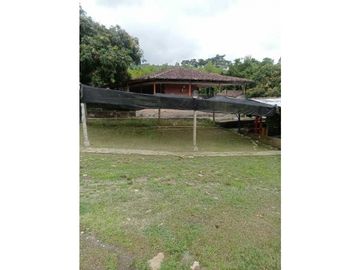 VENTA Casa Finca productiva con Dos lagos de pesca