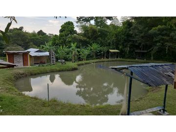 VENTA Casa Finca productiva con Dos lagos de pesca