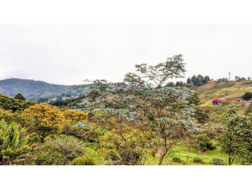 Finca Con Casa Tradicional En Venta Guarne Antioquia