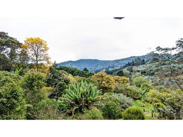 Finca Con Casa Tradicional En Venta Guarne Antioquia
