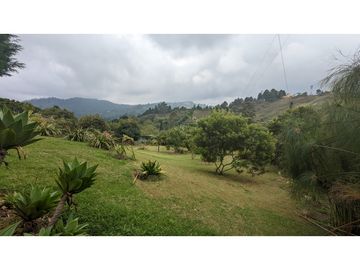 Finca Con Casa Tradicional En Venta Guarne Antioquia