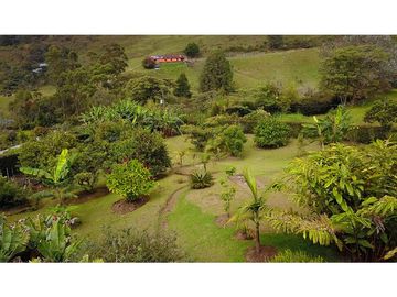 Finca Con Casa Tradicional En Venta Guarne Antioquia
