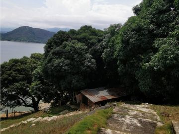 FINCA EL EDEN SECTOR EL PRADO TOLIMA