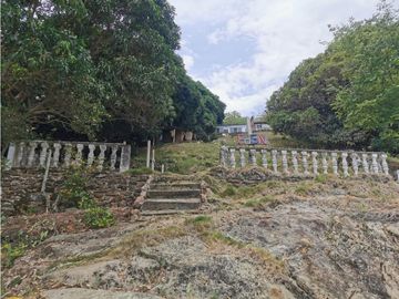 FINCA EL EDEN SECTOR EL PRADO TOLIMA
