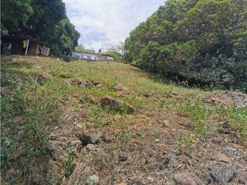 FINCA EL EDEN SECTOR EL PRADO TOLIMA