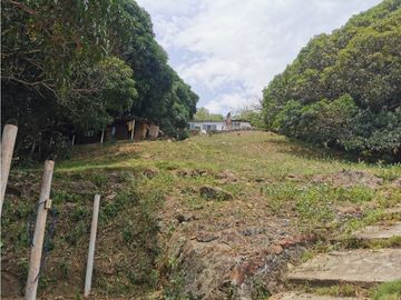 FINCA EL EDEN SECTOR EL PRADO TOLIMA