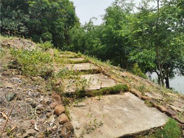 FINCA EL EDEN SECTOR EL PRADO TOLIMA