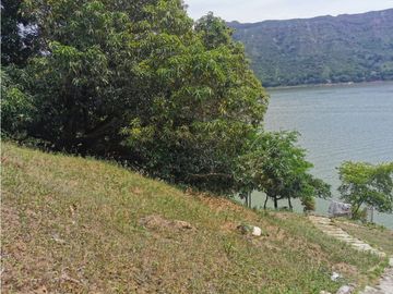 FINCA EL EDEN SECTOR EL PRADO TOLIMA