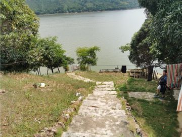 FINCA EL EDEN SECTOR EL PRADO TOLIMA