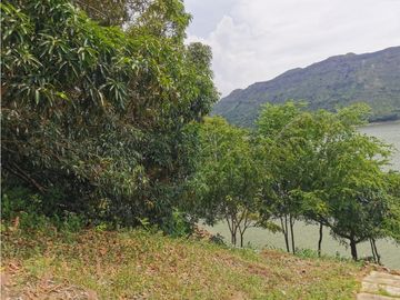 FINCA EL EDEN SECTOR EL PRADO TOLIMA