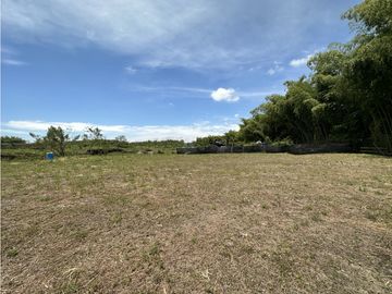 Se Venden Lotes Industriales Zona Franca La Tebaida Quindio