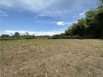 Se Venden Lotes Industriales Zona Franca La Tebaida Quindio
