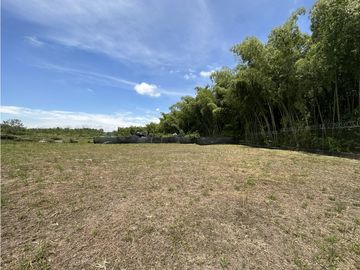 Se Venden Lotes Industriales Zona Franca La Tebaida Quindio