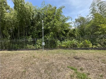 Se Venden Lotes Industriales Zona Franca La Tebaida Quindio