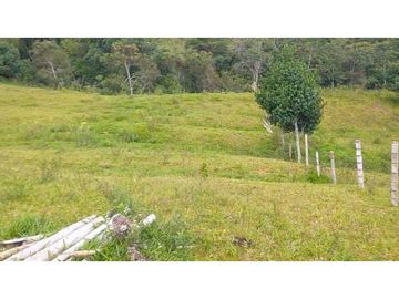 VENTA DE FINCA CAMPESTRE DE 10.500 M2 EN LA CUMBRE VALLE DEL CAUCA