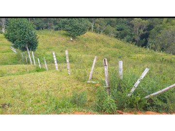 VENTA DE FINCA CAMPESTRE DE 10.500 M2 EN LA CUMBRE VALLE DEL CAUCA