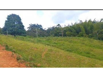 VENTA DE FINCA CAMPESTRE DE 10.500 M2 EN LA CUMBRE VALLE DEL CAUCA