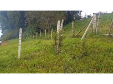 VENTA DE FINCA CAMPESTRE DE 10.500 M2 EN LA CUMBRE VALLE DEL CAUCA