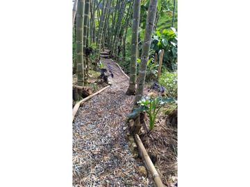 En Venta Finca en el Peñol- Guatape