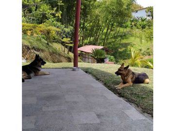 En Venta Finca en el Peñol- Guatape