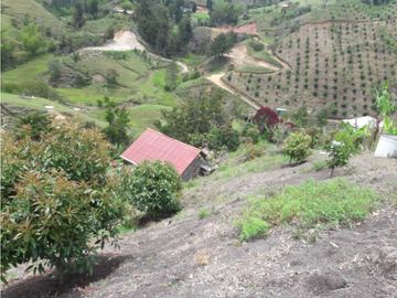 En Venta Finca en el Peñol- Guatape