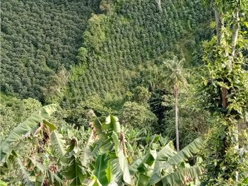 Venta de Finca en Filandia