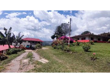 Finca Para Agroturismo En Venta Salento