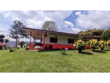 Finca Para Agroturismo En Venta Salento