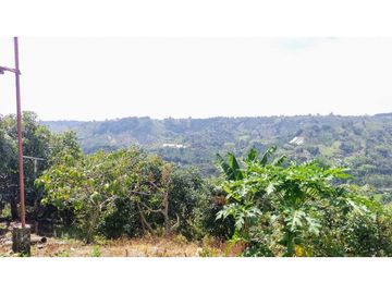 Finca Para Agroturismo En Venta Salento